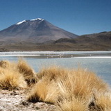 Uyuni - Laguna Hedionda